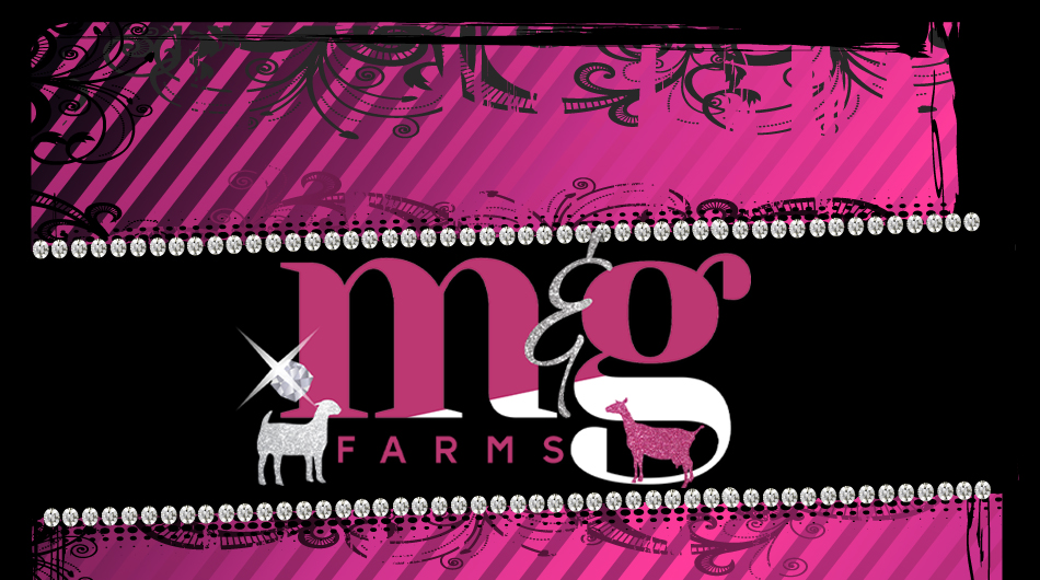 M&G Farms