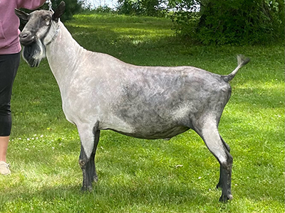 Marcos